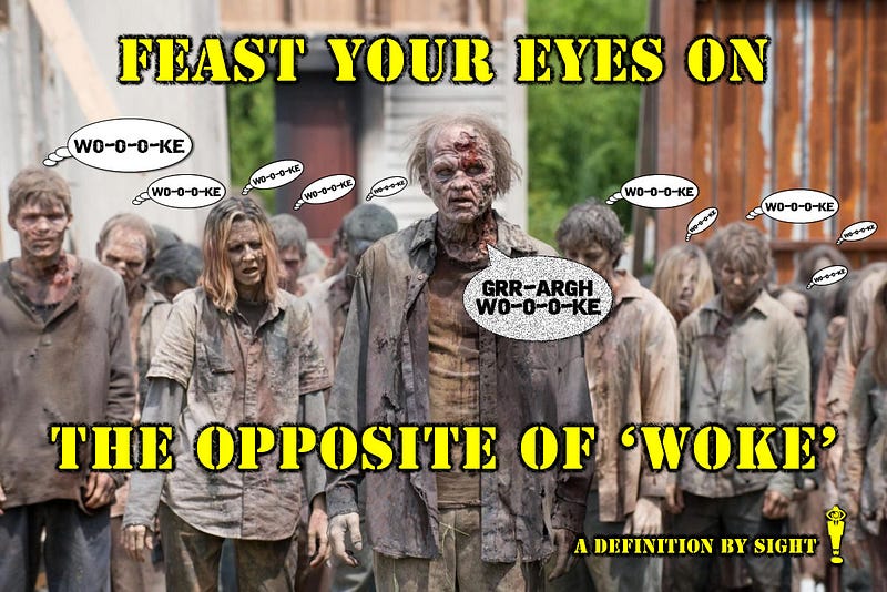 The Opposite of Woke